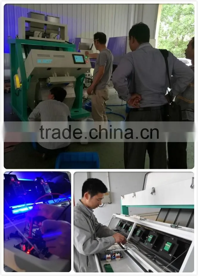 CCD Sunflower Seeds Color Sorter Wolfberry Sorting Machines