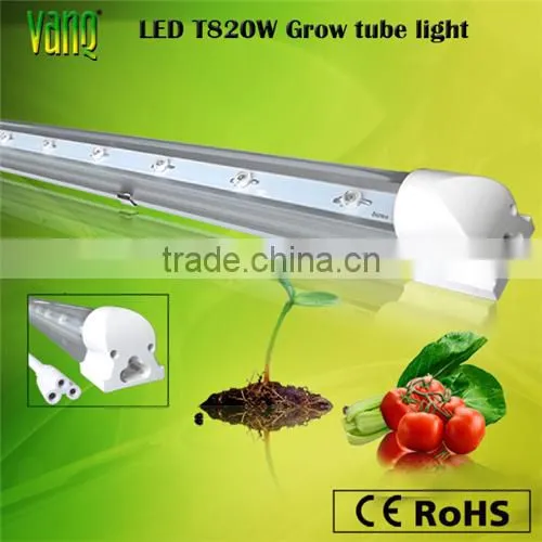 LED lighting hydroponic grow systems full spectrum 150w cob led grow light Vanq classical