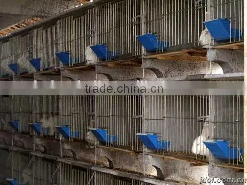 Wholesale rabbit food feeder