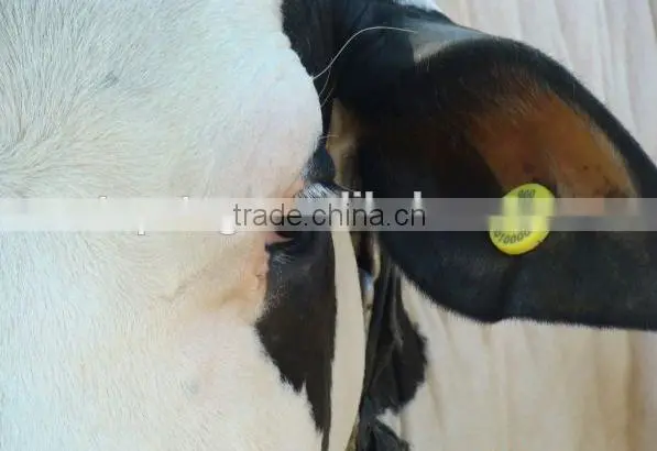 LF/HF/UHF Rfid Passive Animal Ear Tags Micro RFID Tags