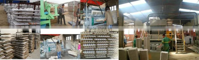 small paper pulp molding machine