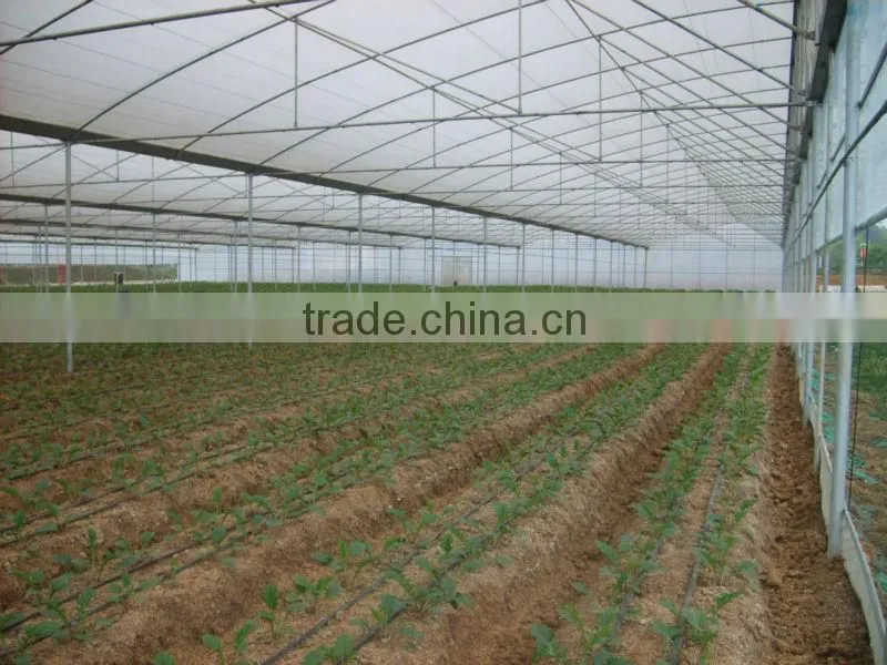 steel pipe greenhouse