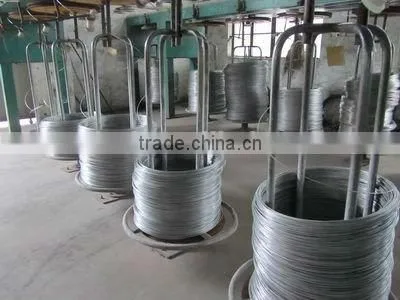 7X7 Wire Rope for Conveyer Belts