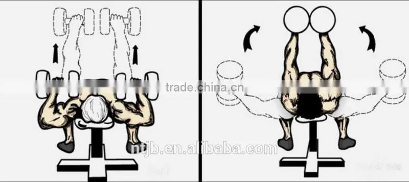 high quality gym exercises crossfit PU dumbbell with Chinese manufacturers