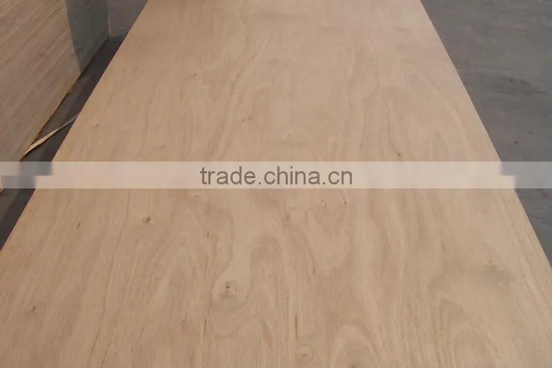 18mm laminted plywood manufacturer
