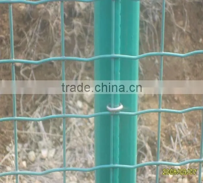 Euro Fence Mesh Rolls(Direct Factory)