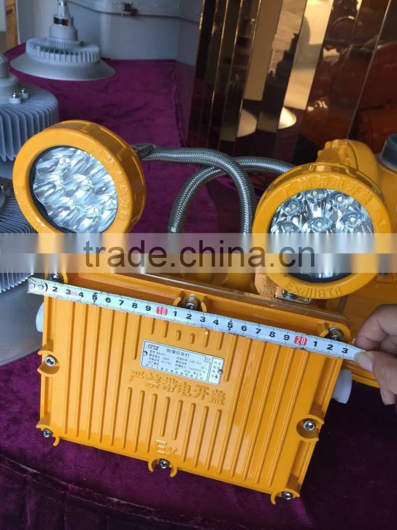 BAJ52 Explosion Proof Emergency Lighting/emergency led light/ automatic emergency