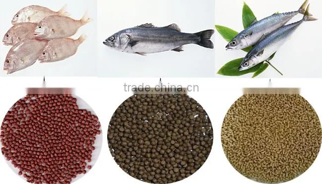 Technical assistance reliable manufacturer automatic fish feeding machine