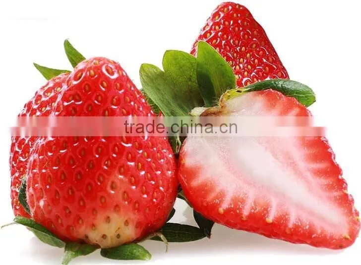 Berries Product Type and Fresh Style strawberry for sale Grade A