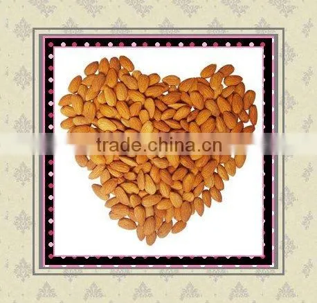 Organic sweet almond in bulk