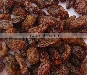 Dried Raisins from Xinjiang