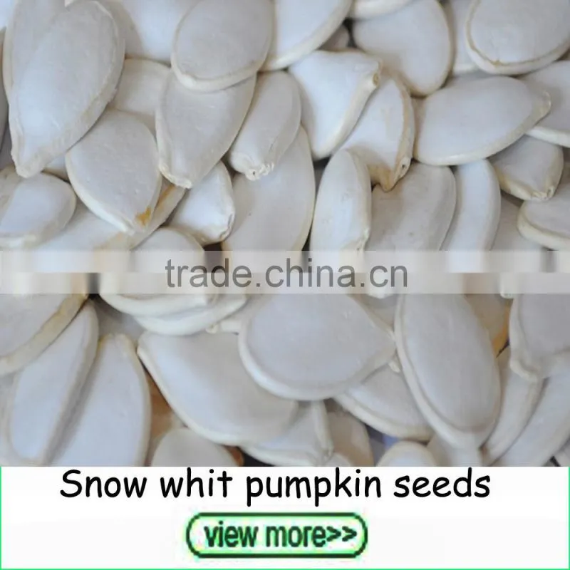 2016 Crop small size white kidney beans navy beans