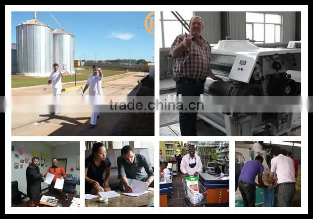 small capacity 20T per day maize flour mill corn flour mill plant for Kenya