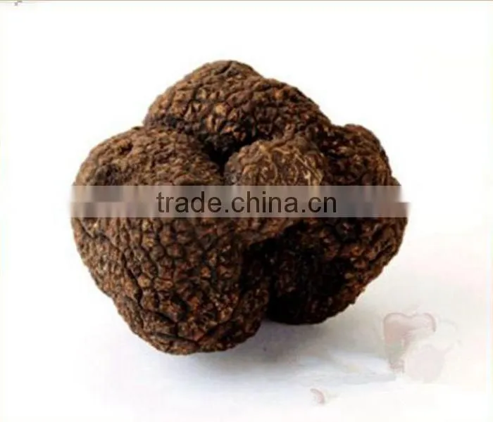 best price frozen truffle (Tuber indicum)