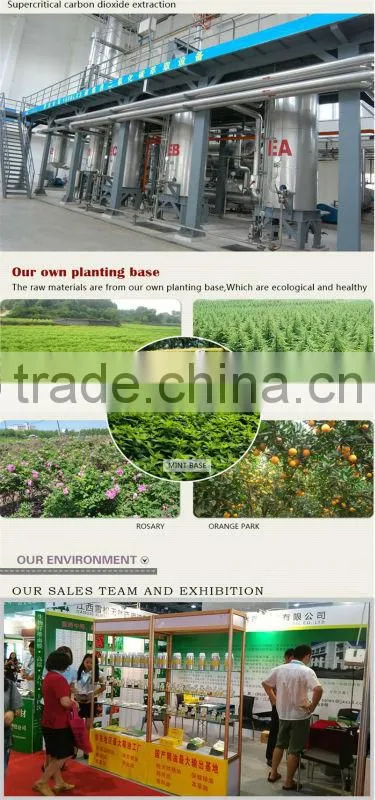 100% pure bulk turpentine oil wholesale