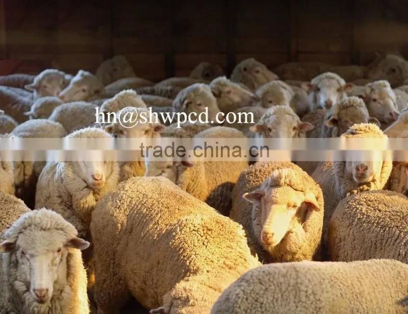 Super industrial cloth/wool washing machine with factory price