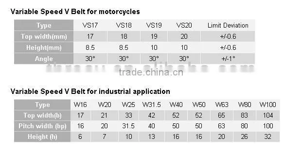 Variable Speed V Belt