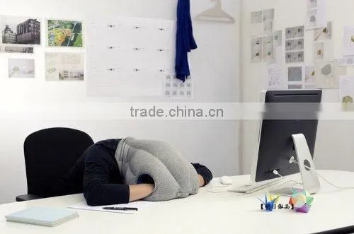 Magical Ostrich Pillow