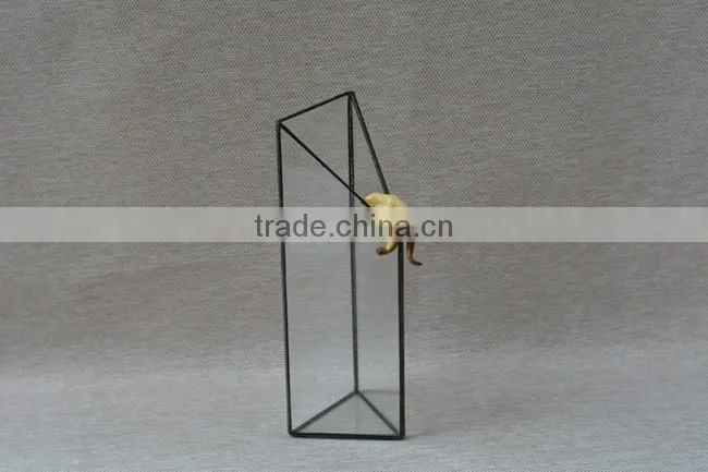 Micro landscape decoration succulents hydroponic containers indoor plant glass terrarium