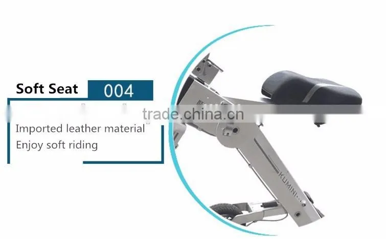 2017 New Design Mini Folding Electric Bicycle, 48V 250W Fold 12inch Electro Bike, China Cheap Electric Bicycle For Wholesale