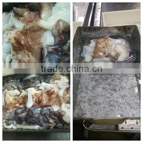 Frozen giant squid neck