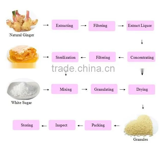 Halal approved 7g AIU packages Instant Honey Ginger tea powder/ginger tea with lemon