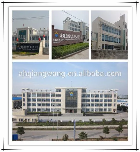Anhui Qiangwang Flavouring Food Co., Ltd. company overview - view 2