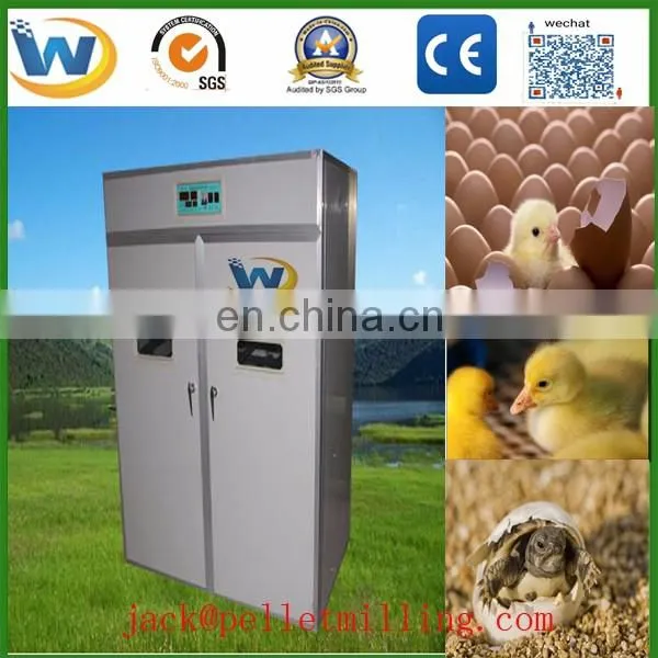 High quality automatic egg incubator in uae