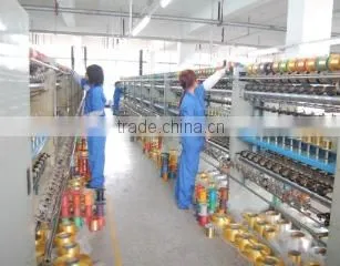 Zhejiang Flying String Co., Ltd. company overview - view 2