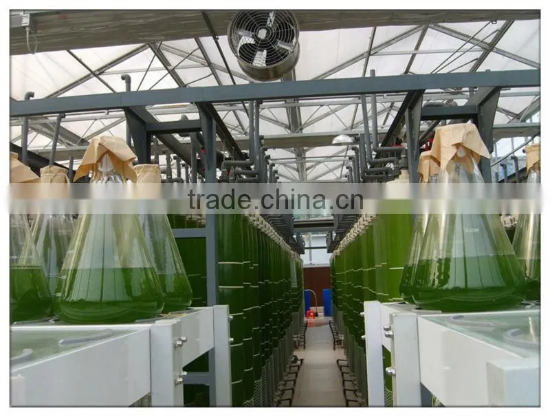 sheet greenhouse