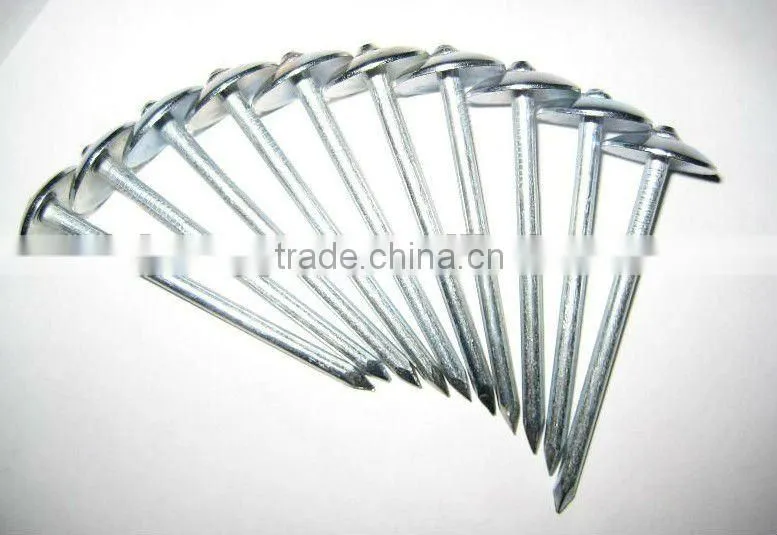 roofing nail with plastic washer