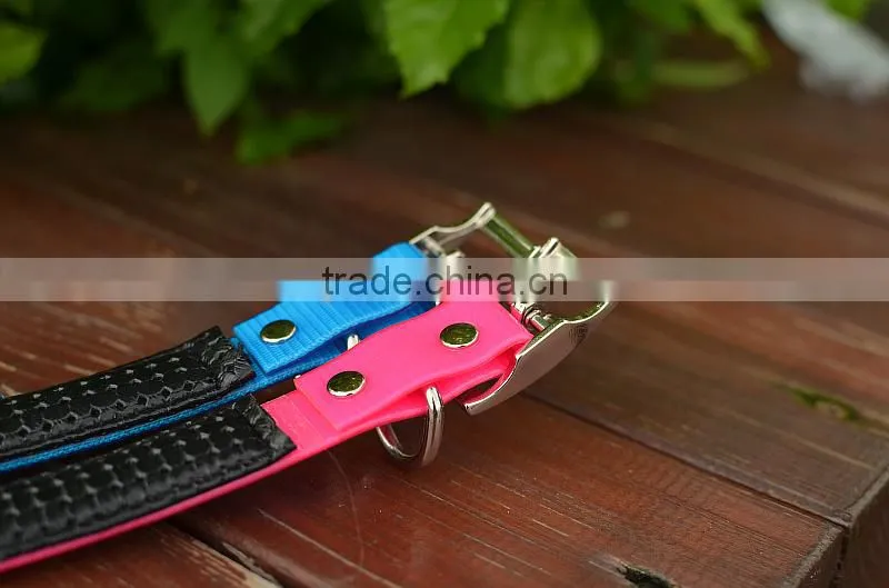 luminous dog collars, 5050 LED Strip LED Collars, 2.5cm width,locking dog collar