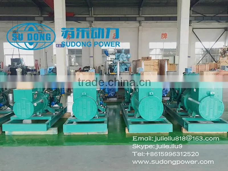 20KW Marine generator sold to Philippines-yuchai engines generator-China oem manufacturer-ZC marine diesel generator