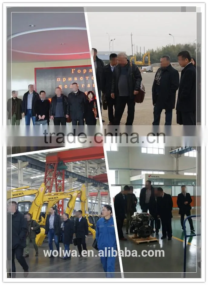 world sold China mainland 8T Wheel Sugarcane Loarder from wolwa