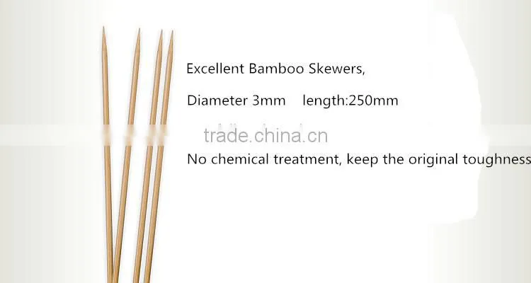 BBQ skewers, BBQ sticks, Bamboo Skewers