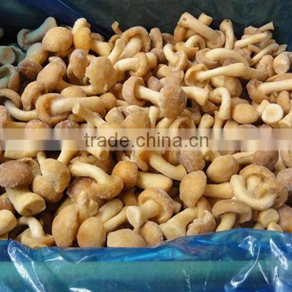 Iqf Frozen Nameko