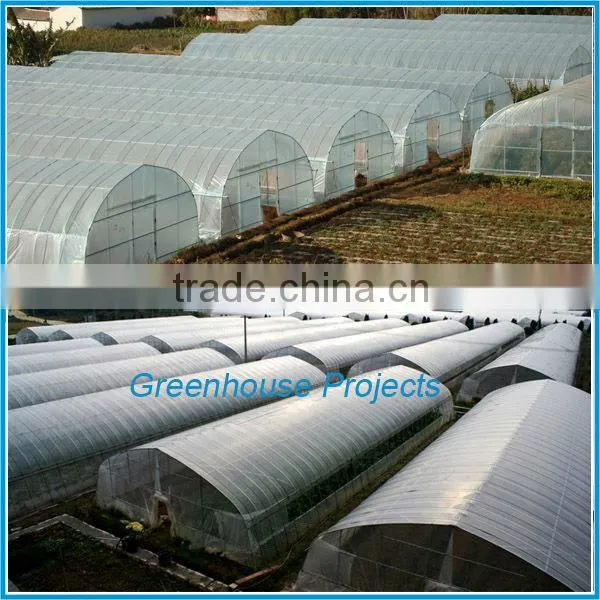 Film Cover Material and PE Material small greenhouse wholesale