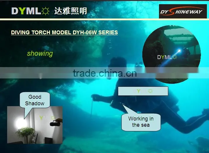 the most professional boat light,hid 55w xenon lamp,5500lm,9000mah liion battery ,IP68 waterproof,