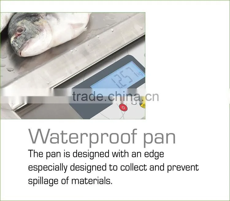 S5i IP-67 Hot Sales Stainless Steel Water Proof Weighing Scale