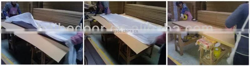 Modern PVC Interior Door/MDF Interior Door