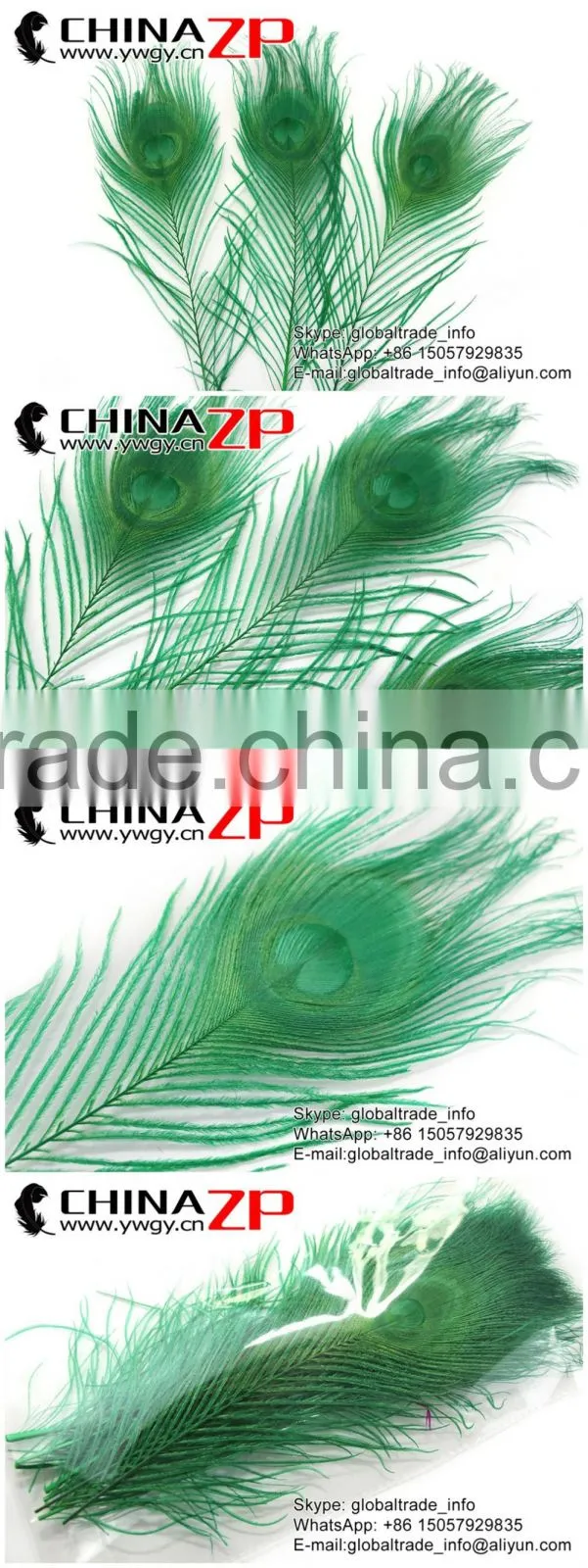 Leading Supplier CHINAZP Wholesale Cheap Full Eye Dyed Green Peacock Tail Feathers