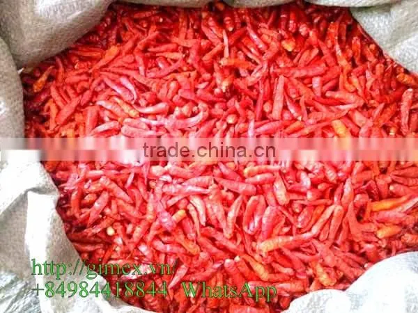 HOT PEPPER, CHILLI +84963818434 whatsapp