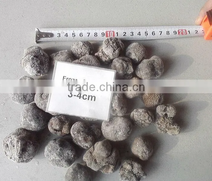 best price frozen truffle (Tuber indicum)
