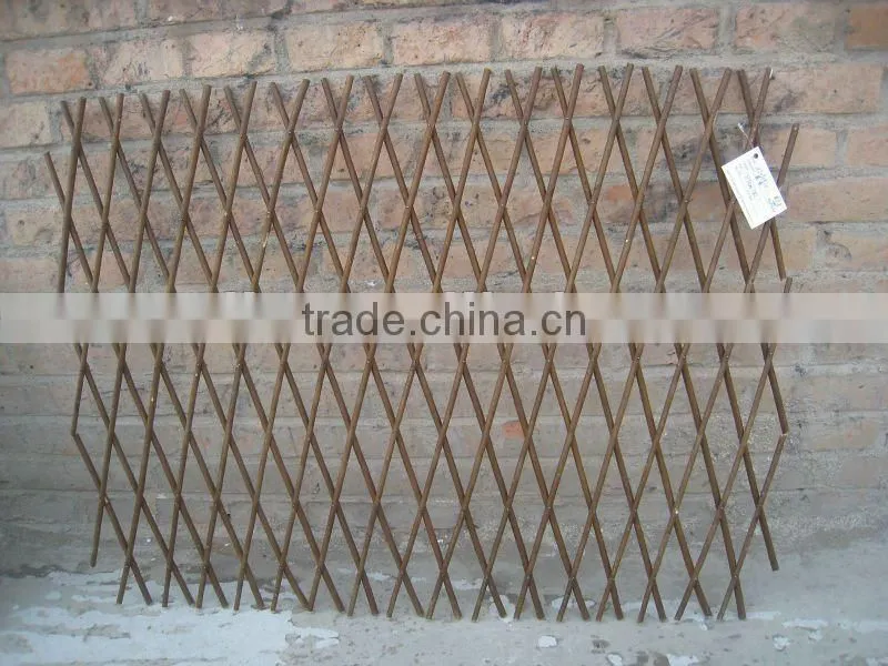 willow trellis/wicker border