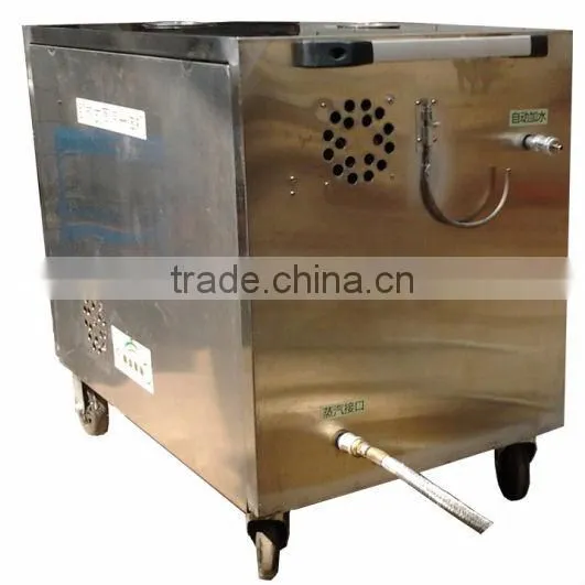 2013 industrial steam cleaner