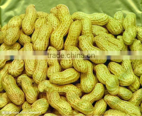 combined peanut sheller+stoning machine