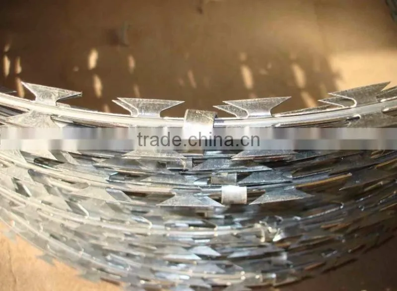 wholesale CBT-65 hot-dipped galvanized razor barbed wire