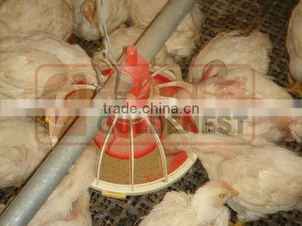 manually egg picking nest