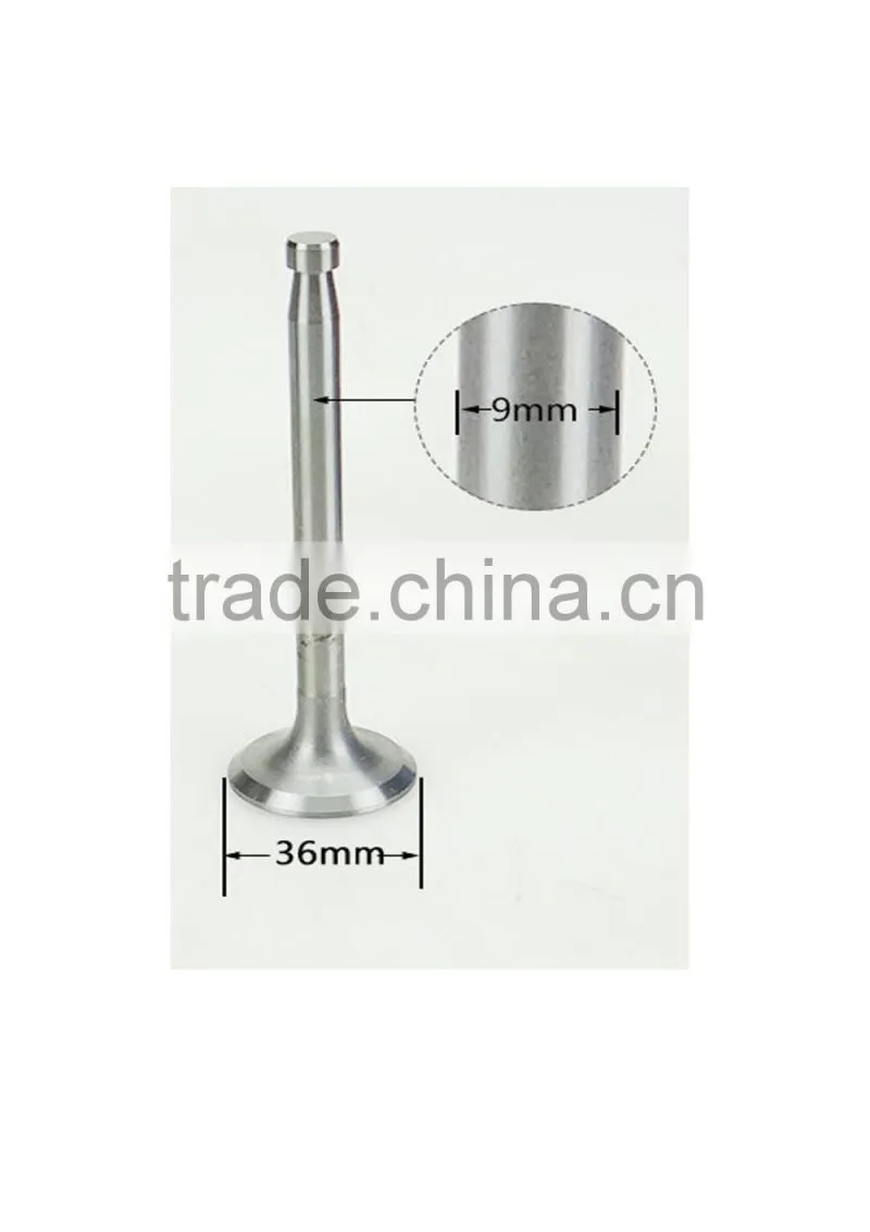 S195 Exhaust Engine inlet and outlet valve for small tractors and trucks