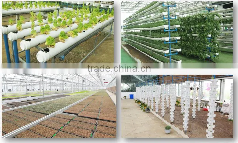 glass greenhouse